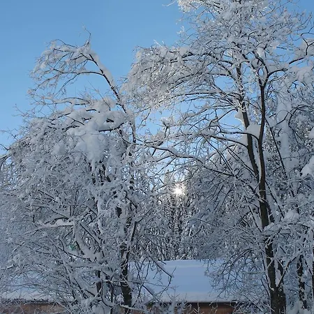 Steidl Apartman Innervillgraten